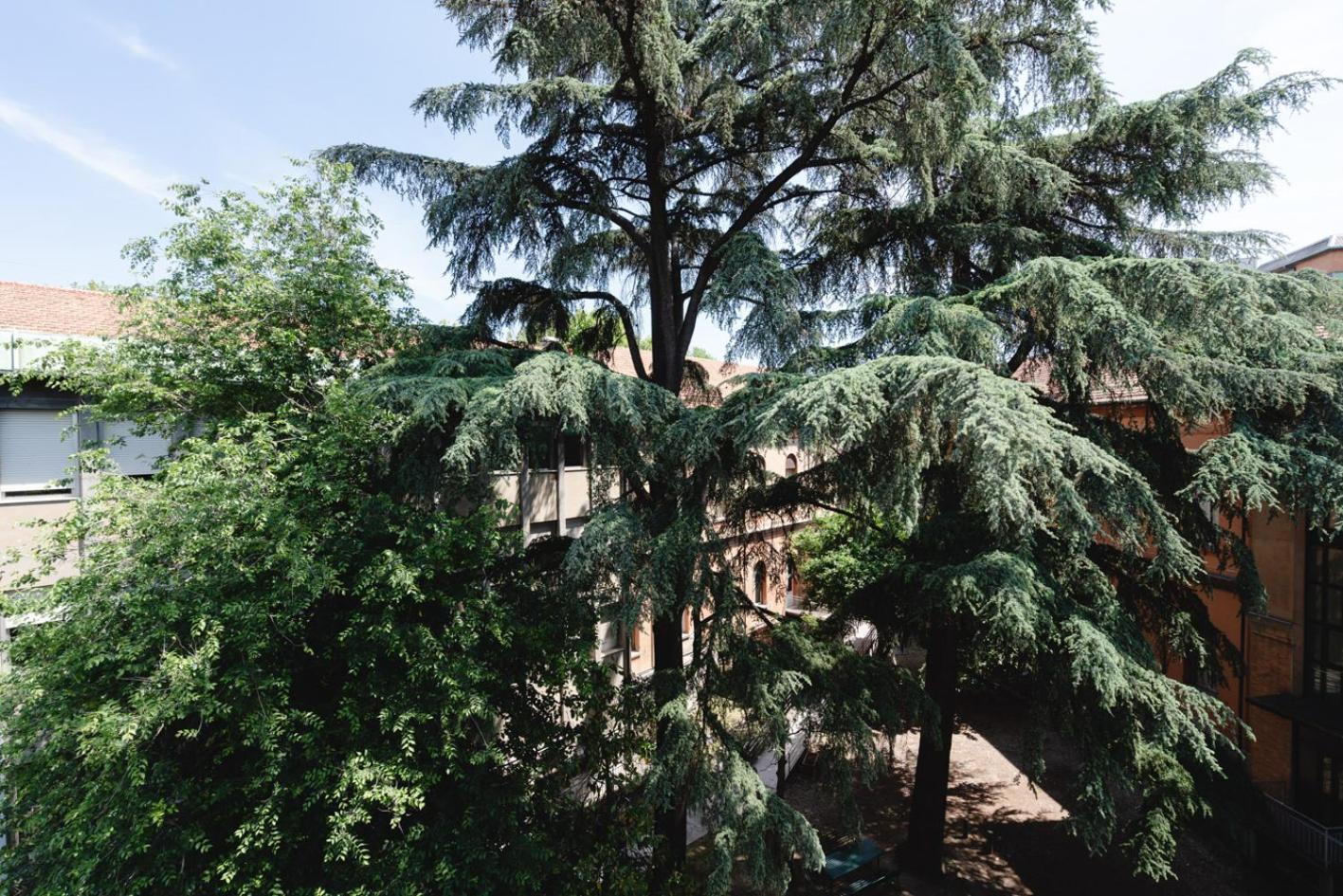 La Favolosa Casa Di Amelie Bolonia Zewnętrze zdjęcie